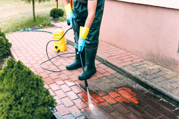 Best Soft Washing for Delicate Surfaces in Flowing Wells, AZ